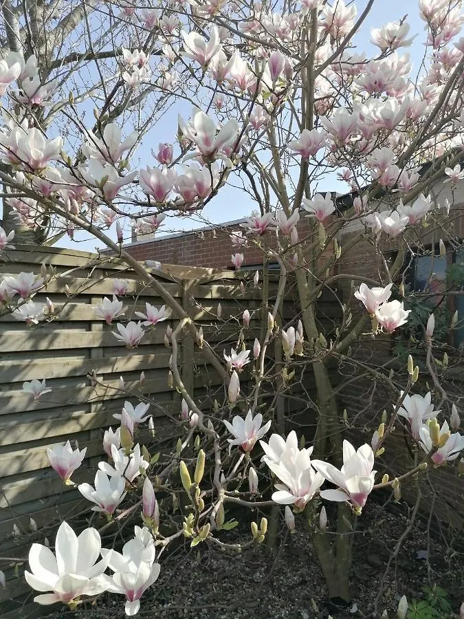Vakantiewoning Lily Appartement Oudenburg